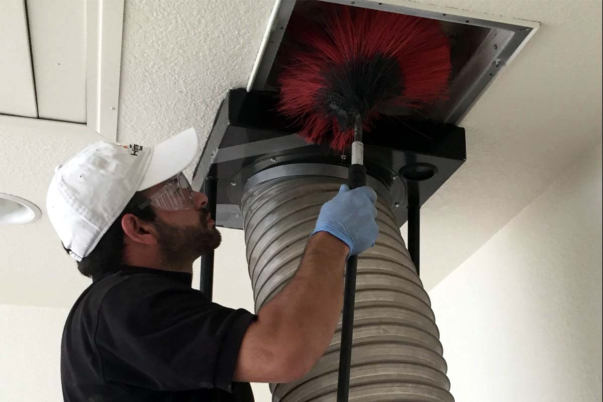 Professional air duct mold removal services.